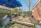 Additional image 16 of Argyll Close, Darlington, Durham, DL1