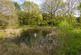 Additional image 59 of Dragons Lane, Leigh Sinton, Malvern