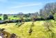 Additional image 23 of Monkton, Honiton, Devon, EX14