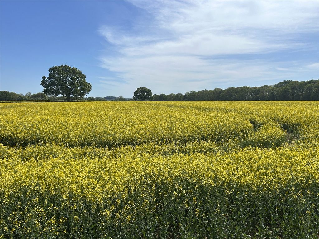Land for saleIlminster, Somerset TA19