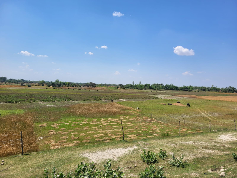 Additional image 2 of Malihabad, Lucknow