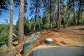 Additional image 82 of 19015 E Pine Dr, Pioneer, CA, 95666
