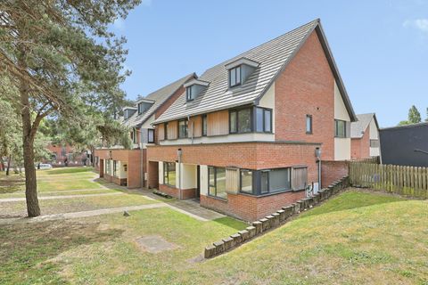 Le Safferne Gardens, Norwich, Norfolk NR3