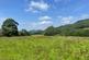 Land South of Harrop Wood, Rainow, Macclesfield