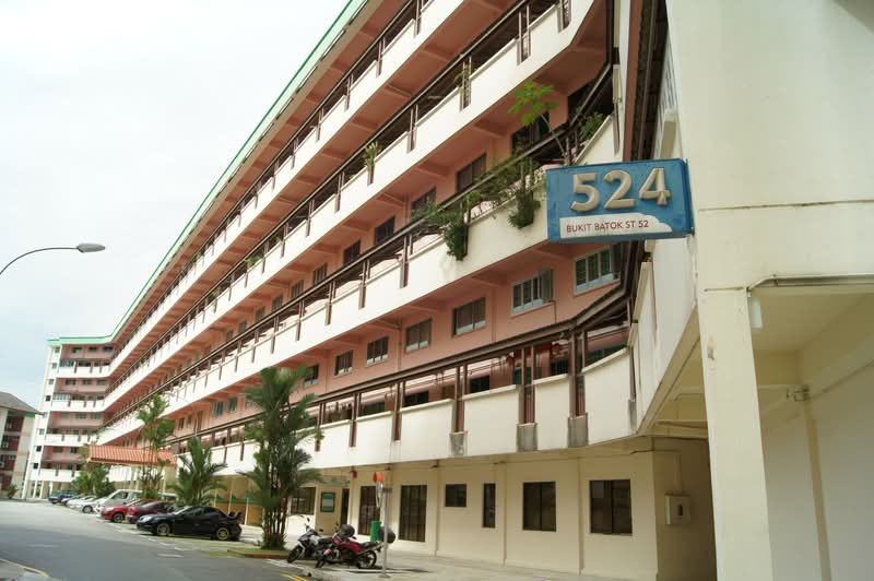 Additional image 22 of 524 Bukit Batok Street 52