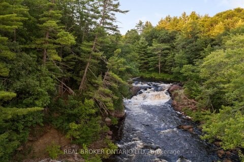 Additional image 7 of 1401 Coopers Falls Road, Ramara, ON, L0K 2B0
