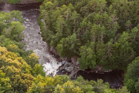 Additional image 8 of 1401 Coopers Falls Road, Ramara, ON, L0K 2B0