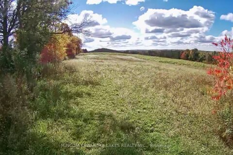 Additional image 8 of PL 15 Base Line, Otonabee-south Monaghan, ON, K0L 2G0