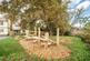 Additional image 14 of Apple Tree Grove, Streatham SW16