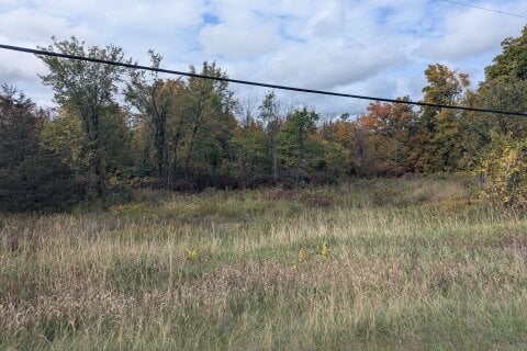 Additional image 7 of Lot 34 Leo Lake Road, Kingston, ON, K0H 2N0