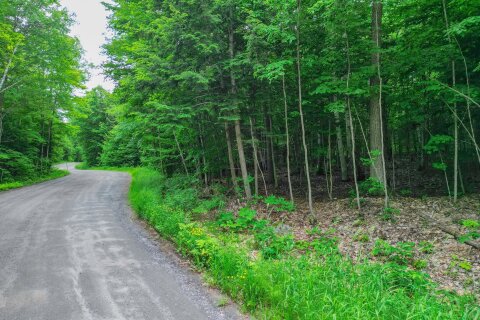 Additional image 8 of 0 Mill Lake Trail, Mcdougall, ON, P2A 2W9