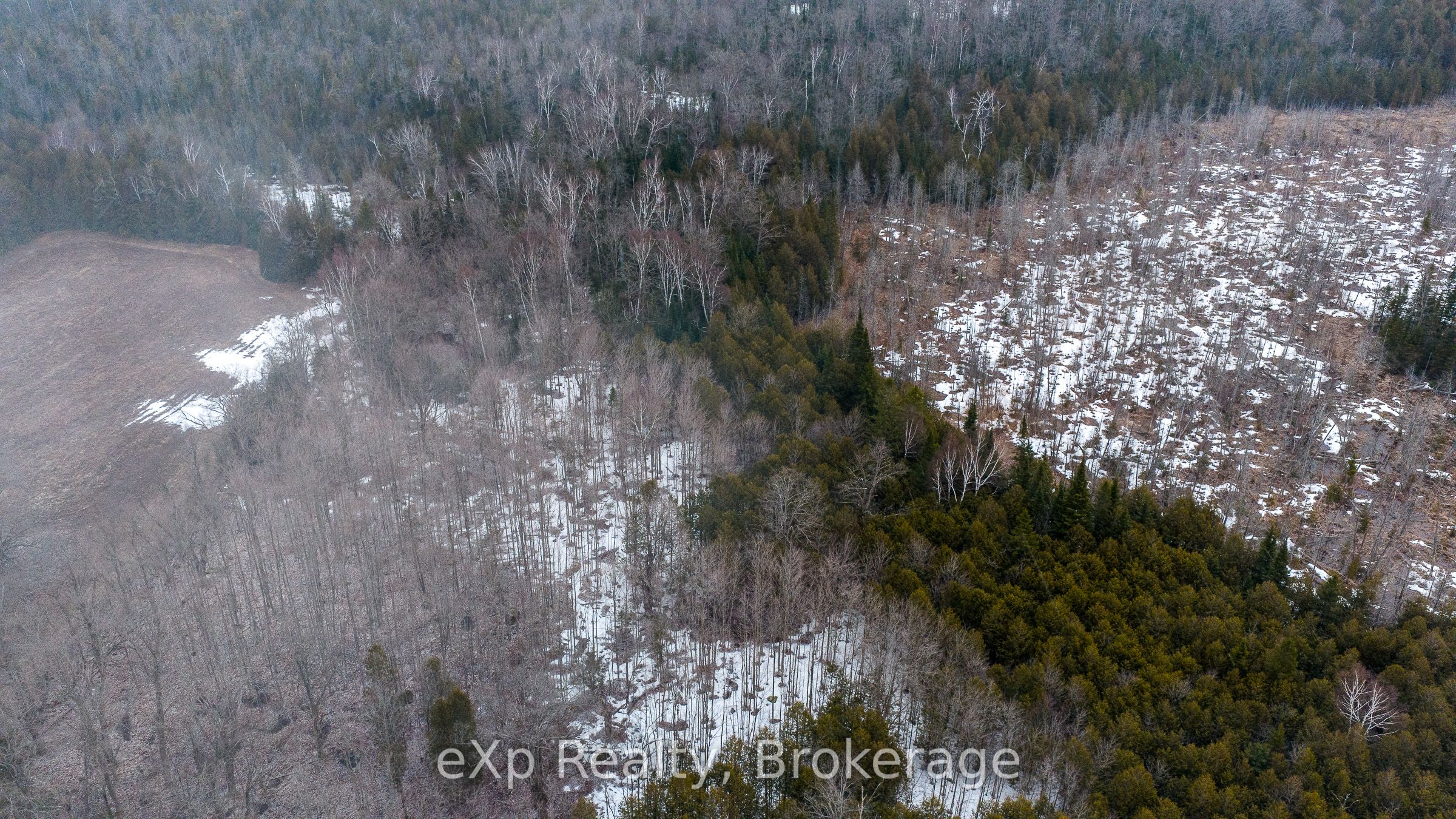 Additional image 5 of 736073 West Back Line, Chatsworth, ON, N0C 1H0