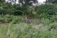 Additional image 3 of Blaich, Fort William PH33