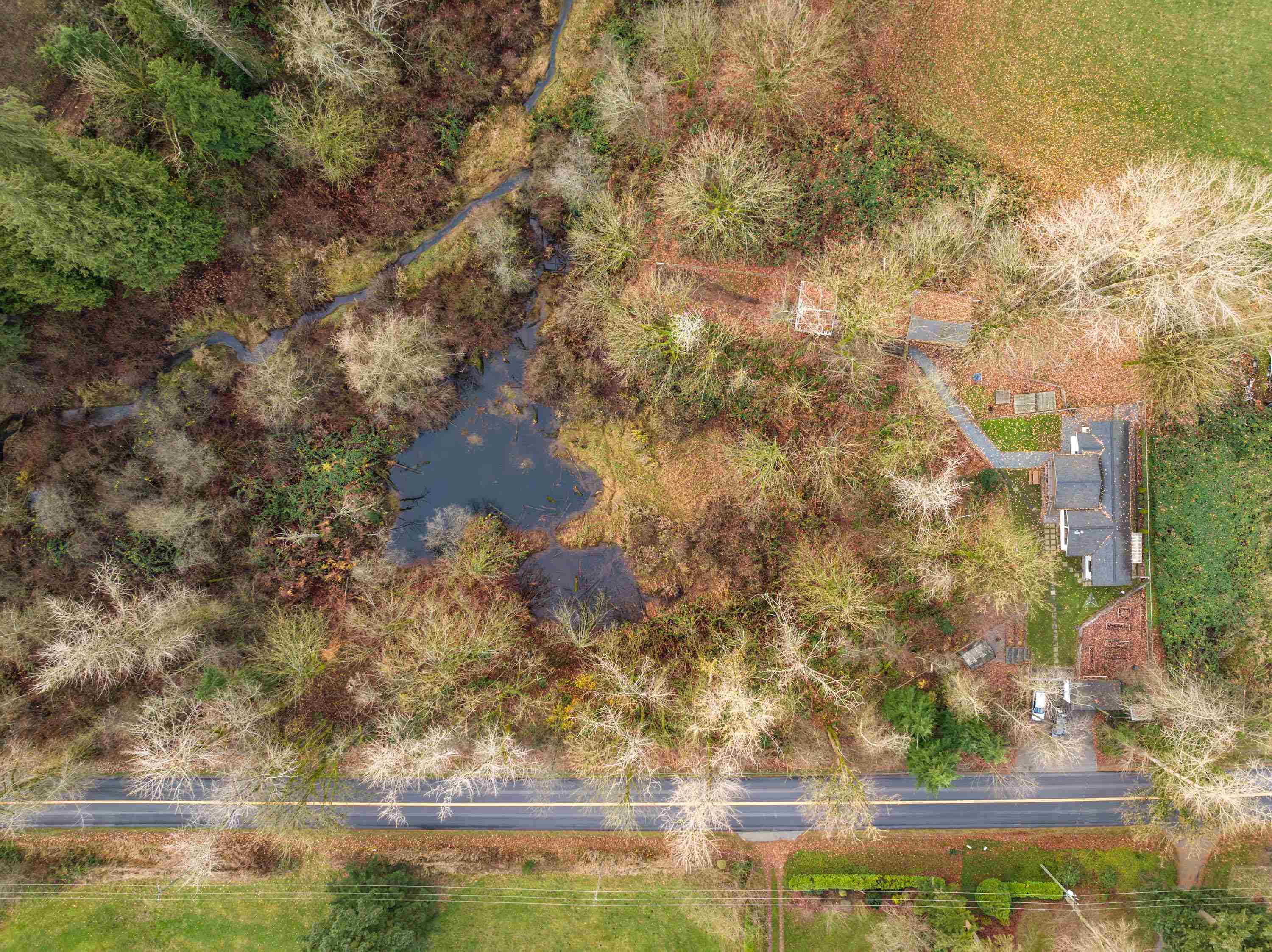 Additional image 3 of 6271 272 Street, Langley, BC, V4W 1P6