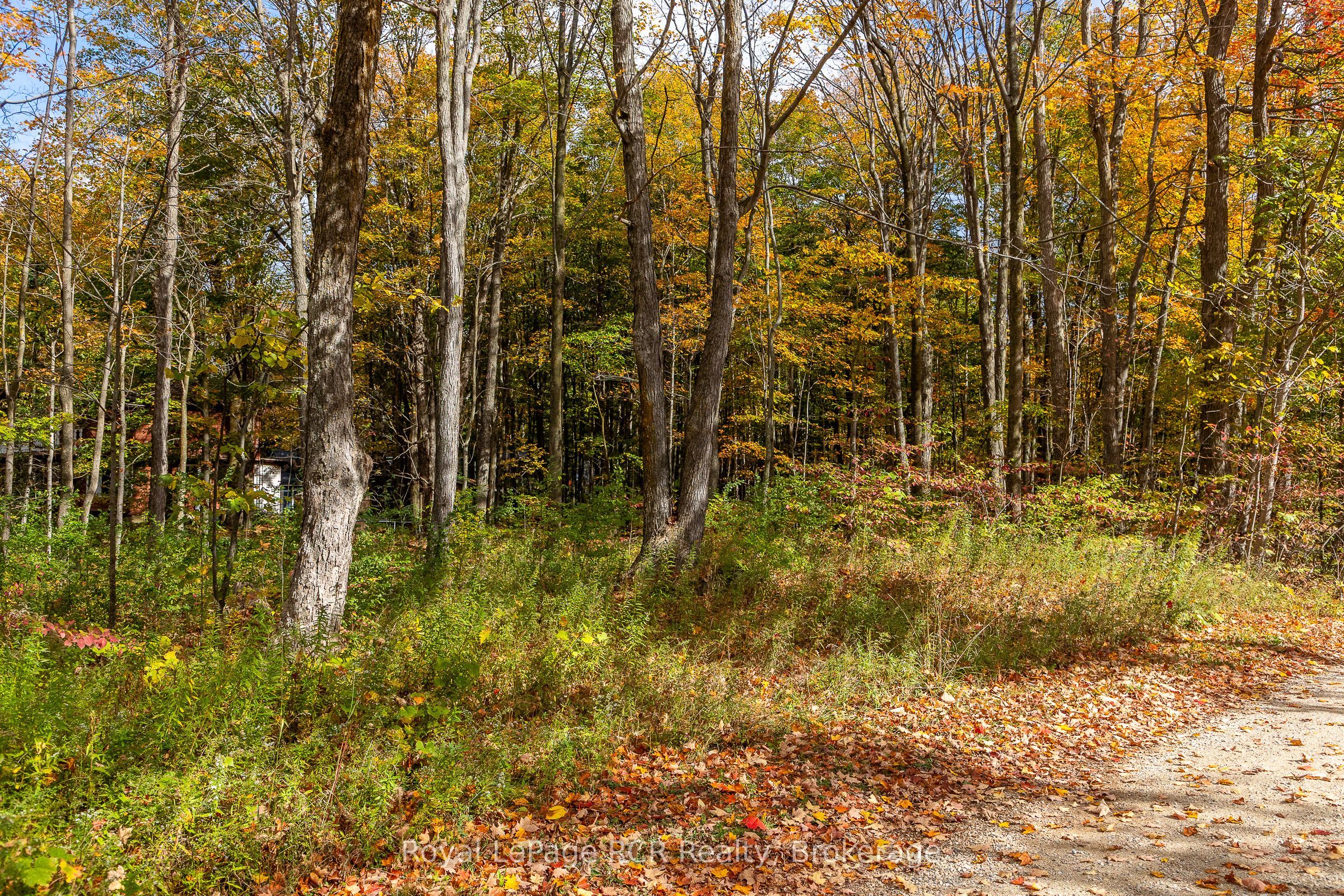 Additional image 6 of Lot 8 Green Acres Road, Grey Highlands, ON, N0C 1E0