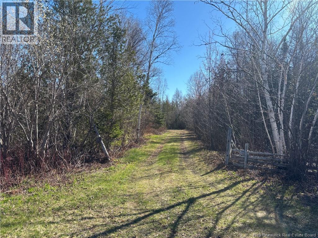 11.98 Acres Chemin Tremblay
