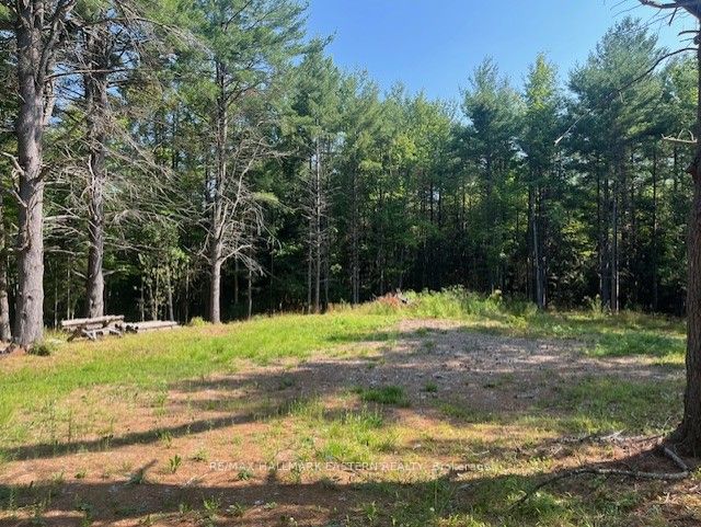 Additional image 4 of 942 Balmer Road, North Kawartha, ON, K0L 1A0