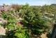 Additional image 30 of Onslow Gardens, London, N10