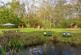 Additional image 45 of Dragons Lane, Leigh Sinton, Malvern