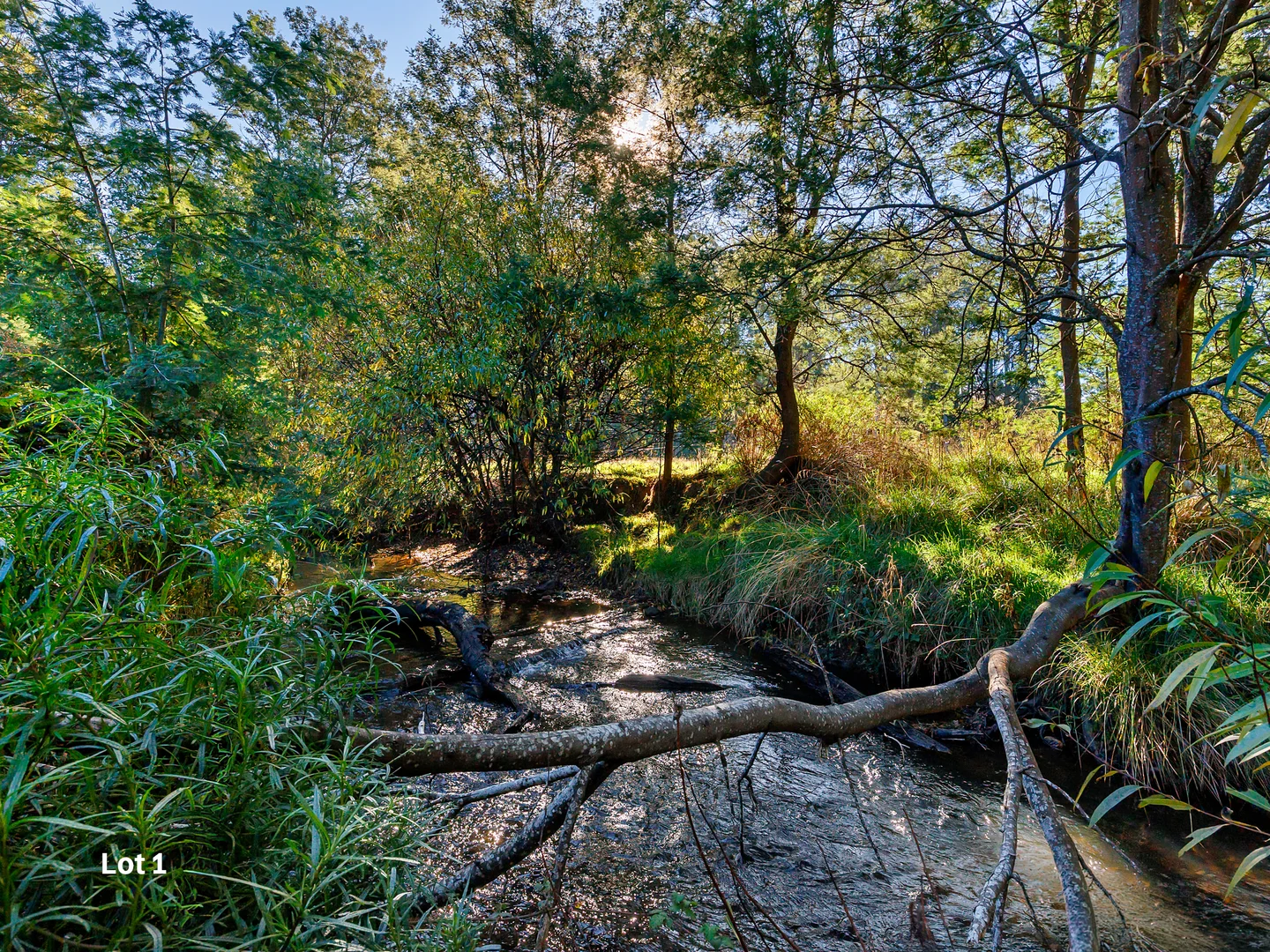 Additional image 8 of Wynyard TAS 7325