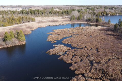 Additional image 8 of Lt 5 Victoria Road, Kawartha Lakes, ON, K0M 2B0