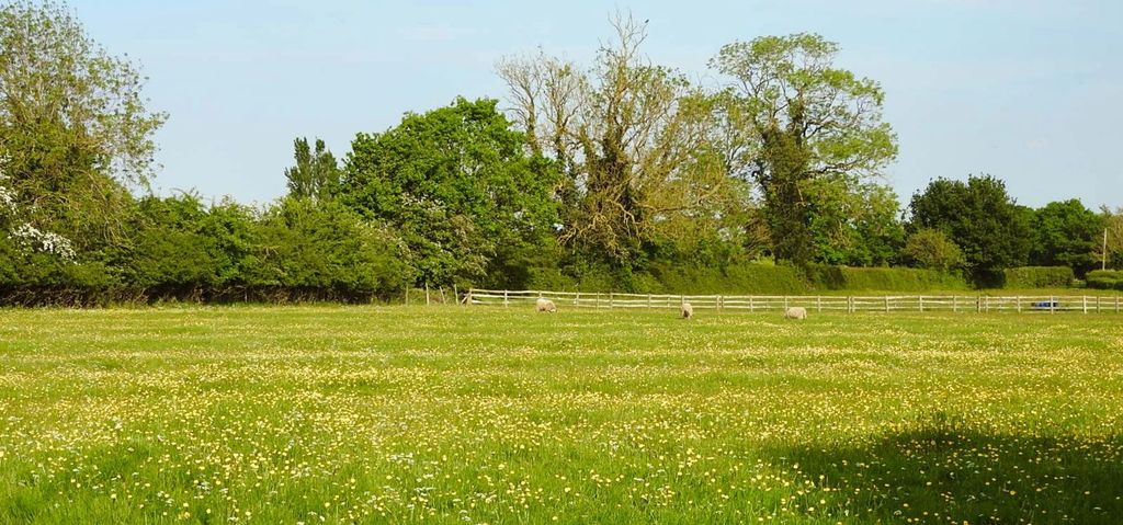 Additional image 14 of Land for saleUp To 10.25 Acres, Elvaston DE72