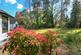 Additional image 15 of St Ives Wood, St Ives, Ringwood, BH24