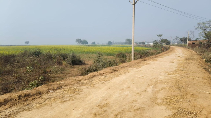 Additional image 3 of Kanhauli, Bihta, Patna