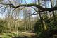 Additional image 5 of Meandering Copse, Stocksfield, Northumberland NE42