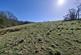 Additional image 3 of Land South of Harrop Wood, Rainow, Macclesfield
