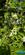 Additional image 24 of Hendon Wood Lane, Mill Hill, London, NW7