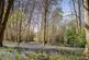 Additional image 32 of Rackheath, Norwich
