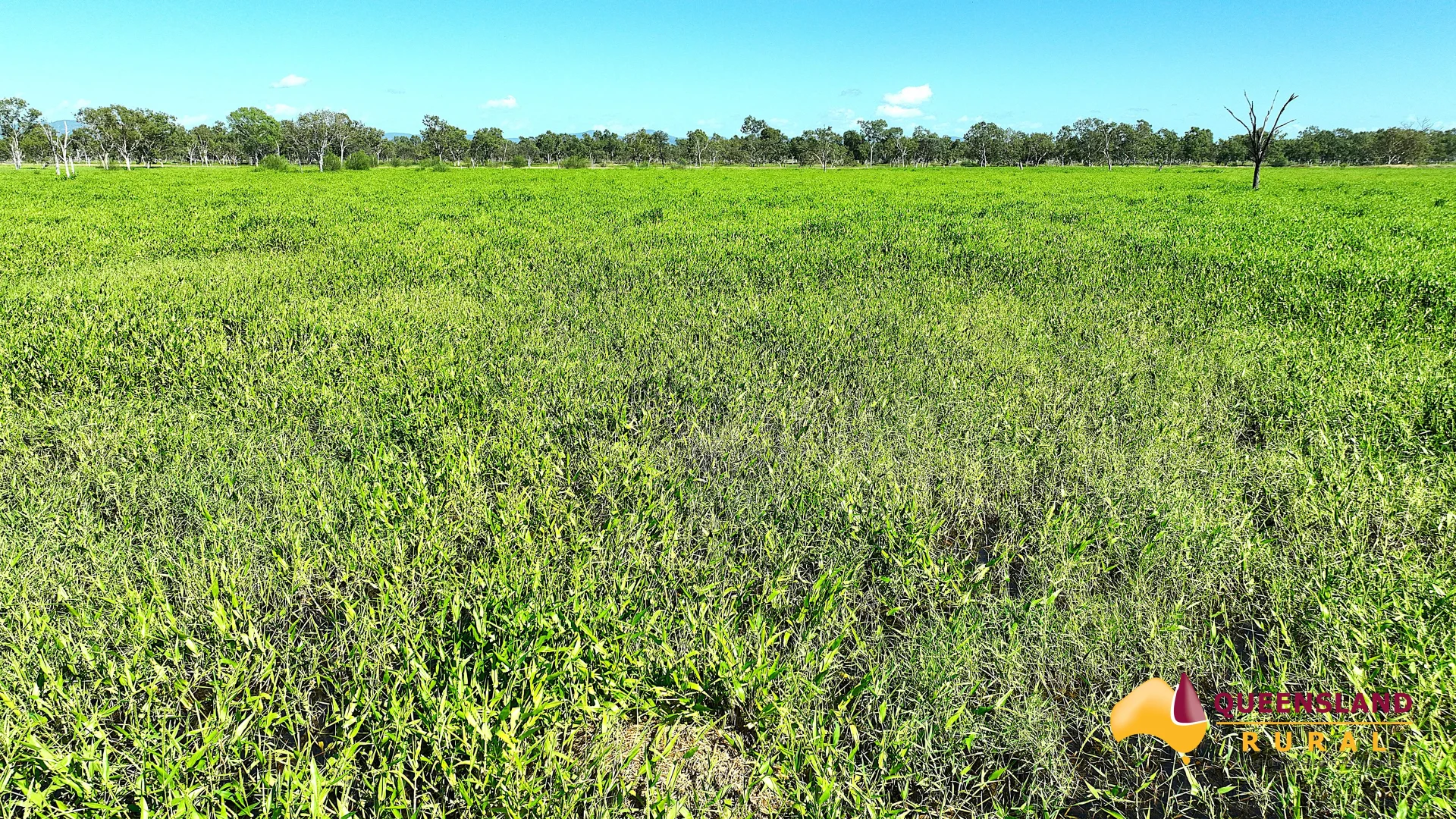 Bogie QLD 4805 photo 4