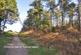 Additional image 8 of Coppice Mews, Ringwood, BH24 2LY