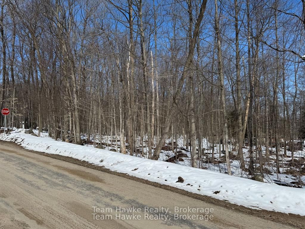 Additional image 4 of 85 Polish Avenue, Penetanguishene, ON, L9M 1W8