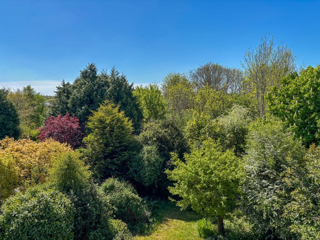 Additional image 23 of 3 bed detached house for sale11 North Trade Road, Battle TN33