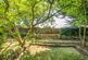 Additional image 13 of Wittersham, Tenterden, Kent, TN30