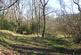 Additional image 4 of Meandering Copse, Stocksfield, Northumberland NE42