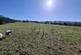 Additional image 6 of Land South of Harrop Wood, Rainow, Macclesfield