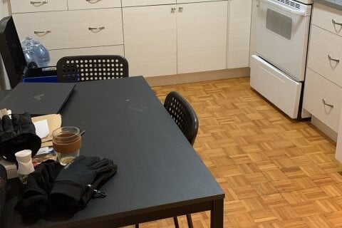 Additional image 8 of Lower-149 Cedric Avenue, Toronto, ON, M6C 3X7