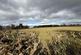 Additional image 11 of The Brake, Hagley, Stourbridge, DY8 2XJ