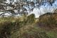 Additional image 7 of Plot 5, Snodwell Farm Post Lane, Cotleigh, Honiton, Devon, EX14 9HZ