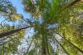 Additional image 36 of 9 Huckleberry Hts, Cazadero, CA, 95421