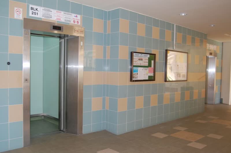 Additional image 21 of 251 Pasir Ris Street 21