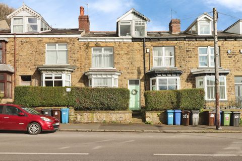Psalter Lane, Sheffield S11