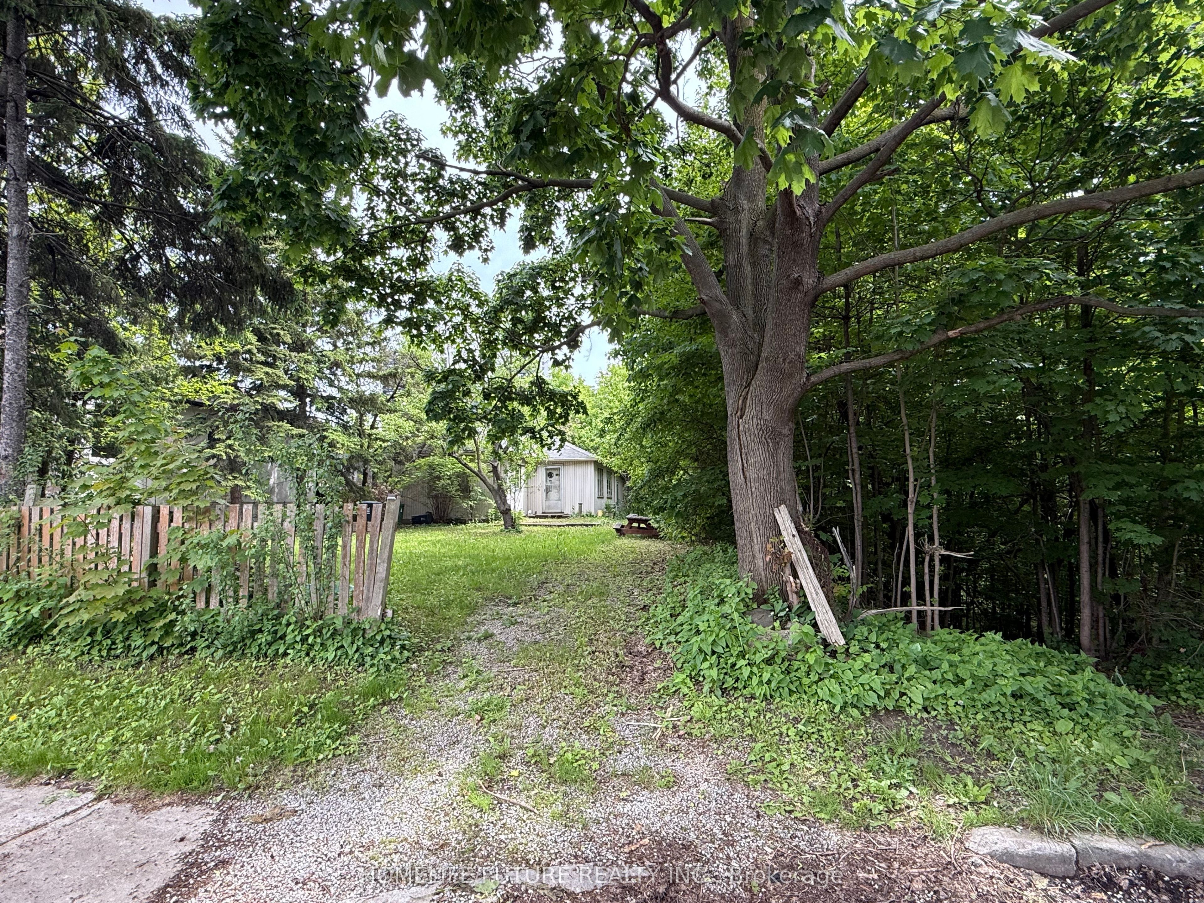 Additional image 3 of 31 Maple Bush Avenue, Toronto, ON, M9N 1S7