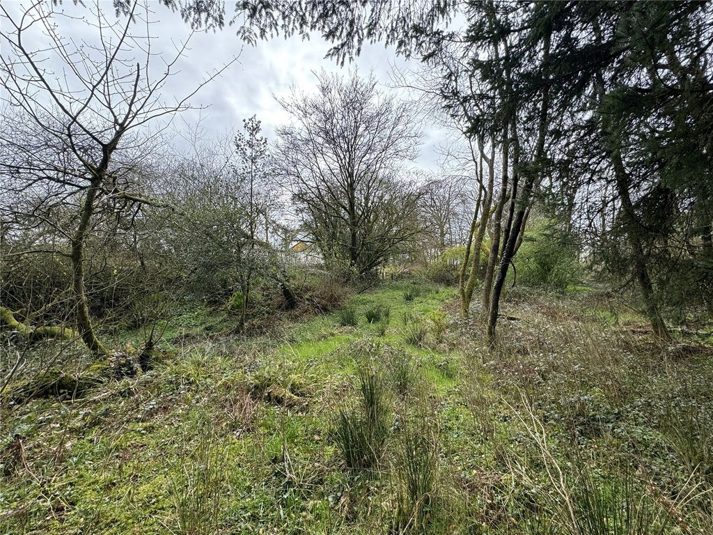 Additional image 10 of Land for saleBradworthy, Holsworthy, Devon EX22