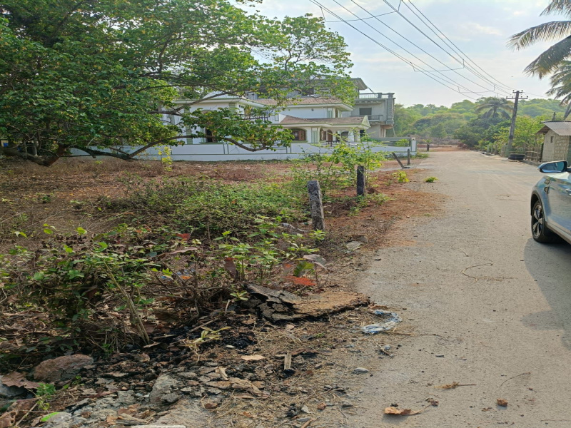 Additional image 3 of Colva, South Goa, Goa