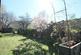 Additional image 15 of Wricklemarsh Road, London SE3