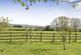 Additional image 24 of Honiton